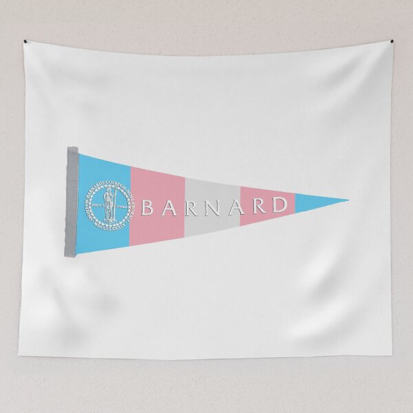 Item preview, Barnard Transgender Pennant designed and sold by dutchesskmw.