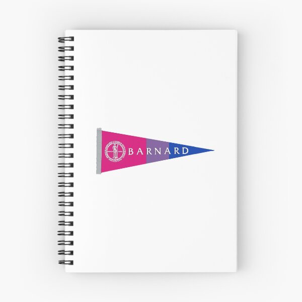 Item preview, Barnard Bisexual Pennant designed and sold by dutchesskmw.