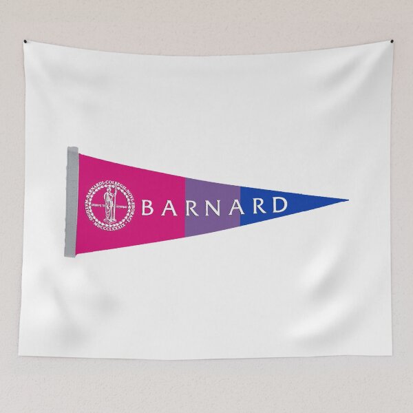 Item preview, Barnard Bisexual Pennant designed and sold by dutchesskmw.