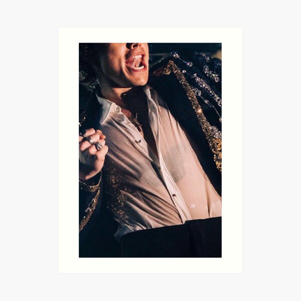 Harry Styles Art Print