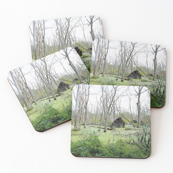Item preview, Fallen Tree in the Swamp designed and sold by Susie Kramer.