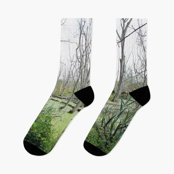 Item preview, Fallen Tree in the Swamp designed and sold by Susie Kramer.