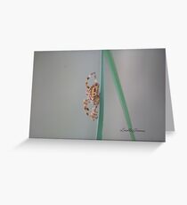 Creepy Crawly Greeting Card