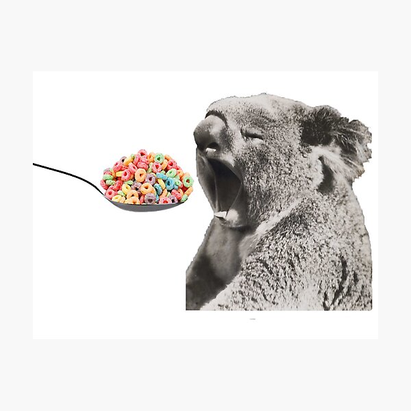 Erhöhen Sie Ihren Koala gut Fotodruck