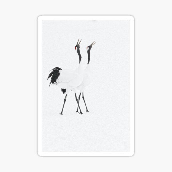 Grues japonaises, parade Sticker
