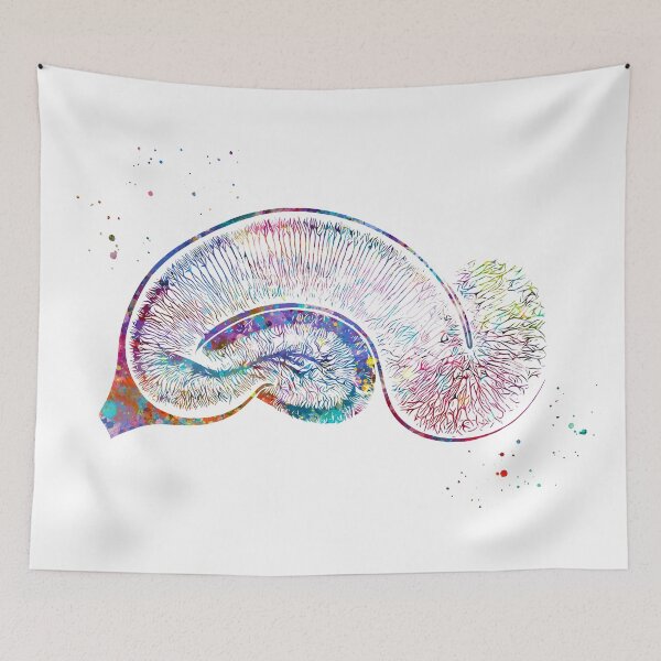 Item preview, Brain Pyramidal Neurons designed and sold by EvasDreams.