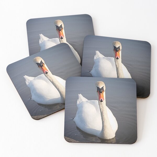 Item preview, Beautiful swan looking at the camera designed and sold by GillyMc.