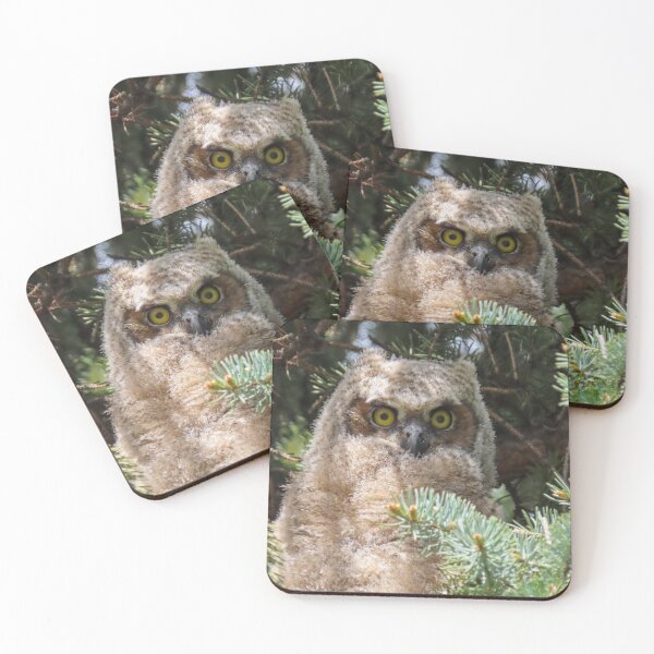 Item preview, Great-horned Owlet designed and sold by DigitalGen.