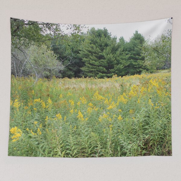 Item preview, Field of Golden Rod and Grass designed and sold by Susie Kramer.