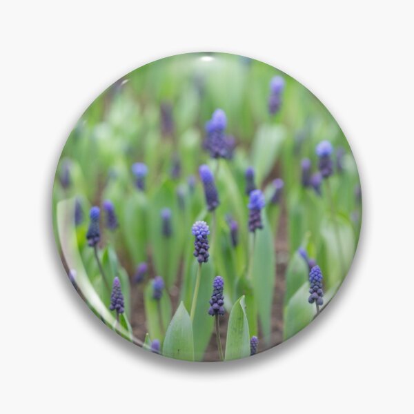 Item preview, Dainty blue flowers a field designed and sold by Cvail73.