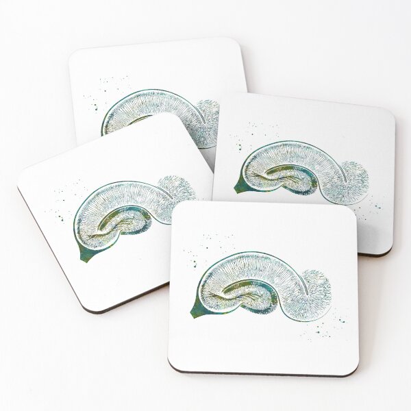 Item preview, Brain Pyramidal Neurons designed and sold by EvasDreams.