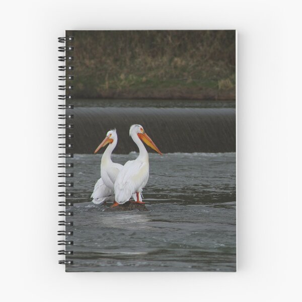 Item preview, Well Perched designed and sold by Alyce Taylor.