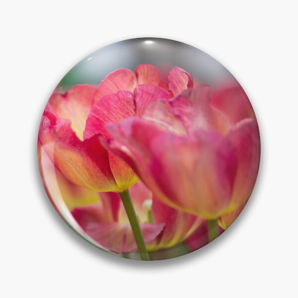 Item preview, Elegant tulips in transparence designed and sold by Cvail73.