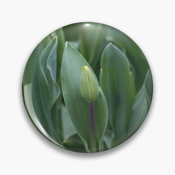 Artikelvorschau, Tulpenlaub entworfen und verkauft von Cvail73.
