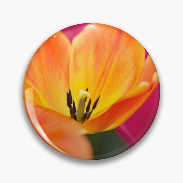 Item preview, Vibrant orange tulip designed and sold by Cvail73.