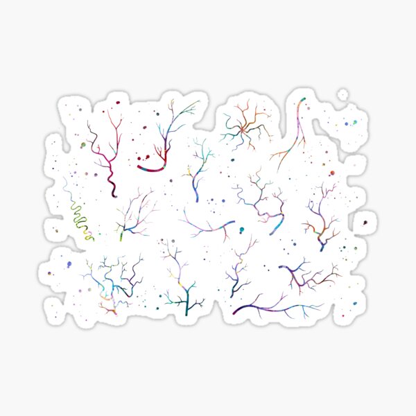 Human Eye Veins Sticker