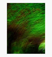 Green Abstract Photographic Print