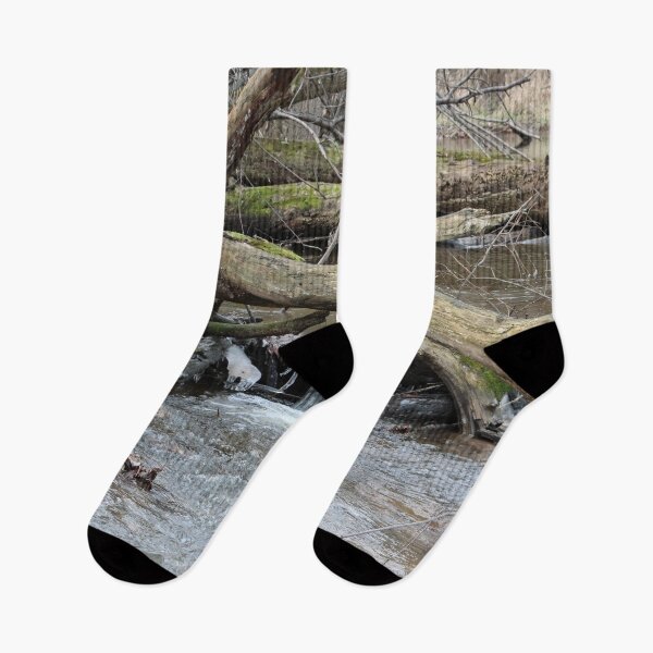 Item preview, Little Waterfall in the Forest designed and sold by Susie Kramer.