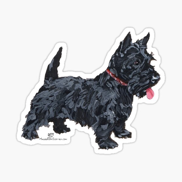Scottish Terrier Ready to Play Sticker
