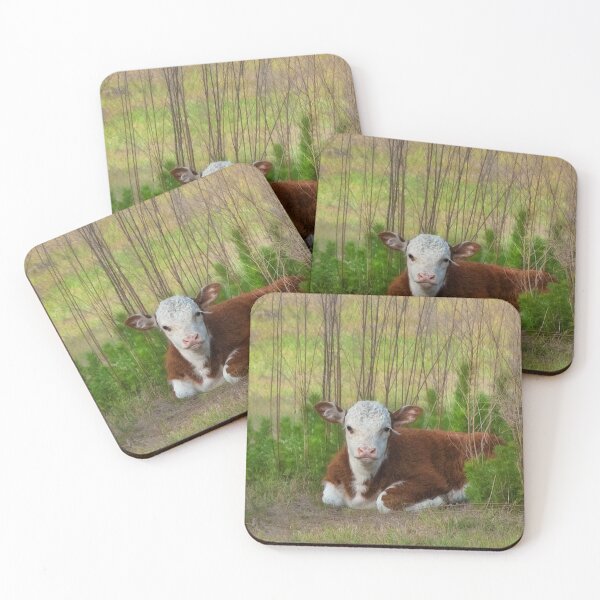 Item preview, Sheltered designed and sold by Karen Peron.