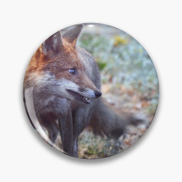Artikelvorschau, Felicity der Fuchs entworfen und verkauft von CoppertreePhoto.