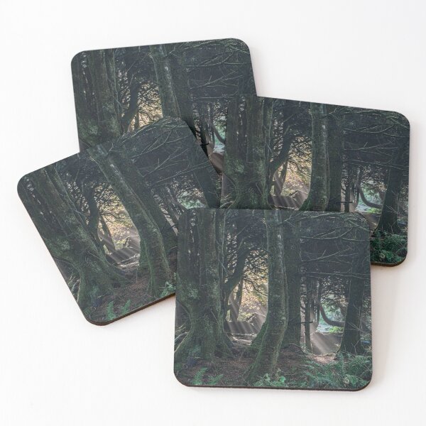 Item preview, deep green forest sun ☀  light designed and sold by beenplanted.