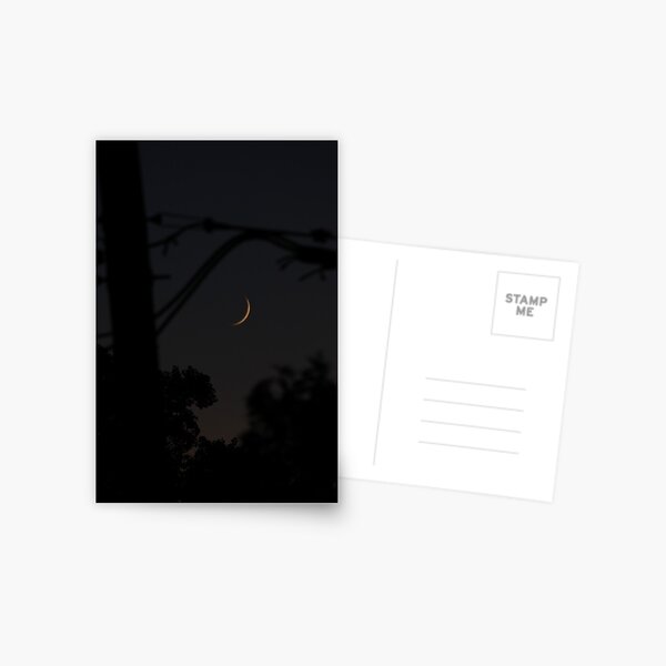 Item preview, Setting Sliver designed and sold by Adam Kuehl.