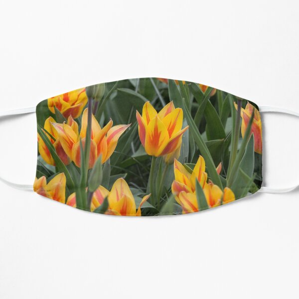 Yellow and red Fire Tulips Mask