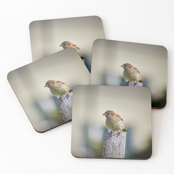 Item preview, Chaffinch designed and sold by LouisOkwedy.