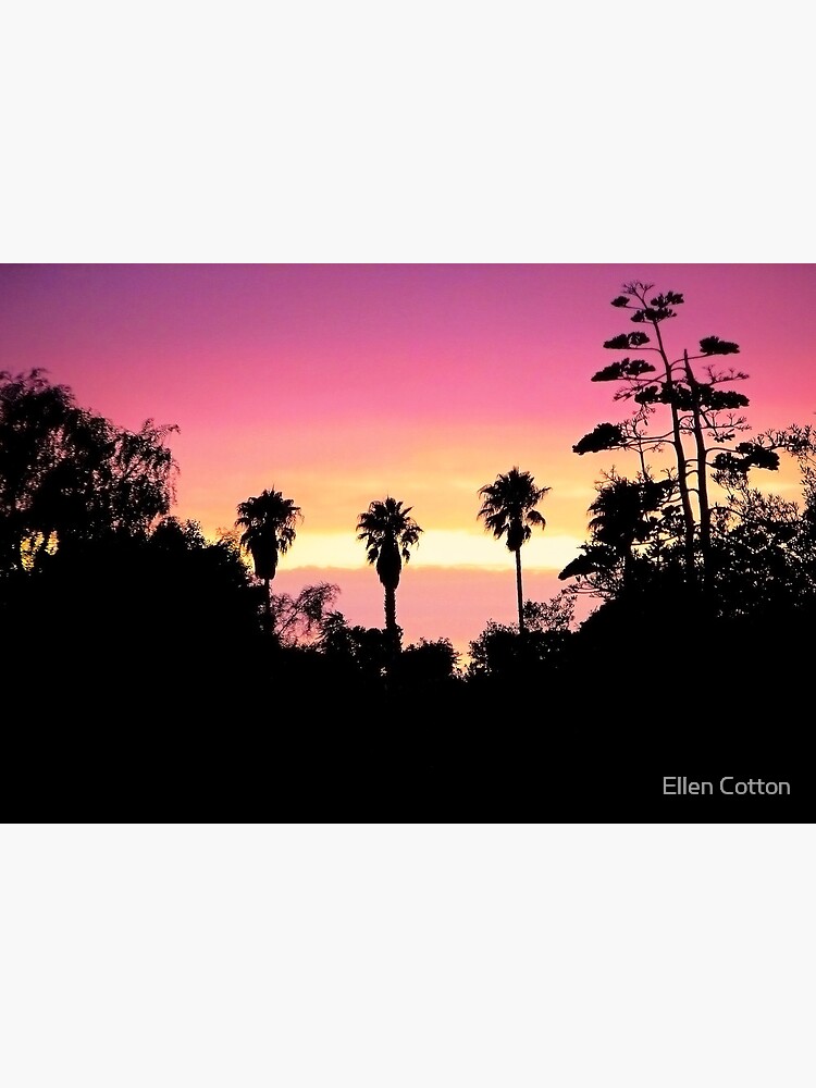 Backyard Sunset by ellcot
