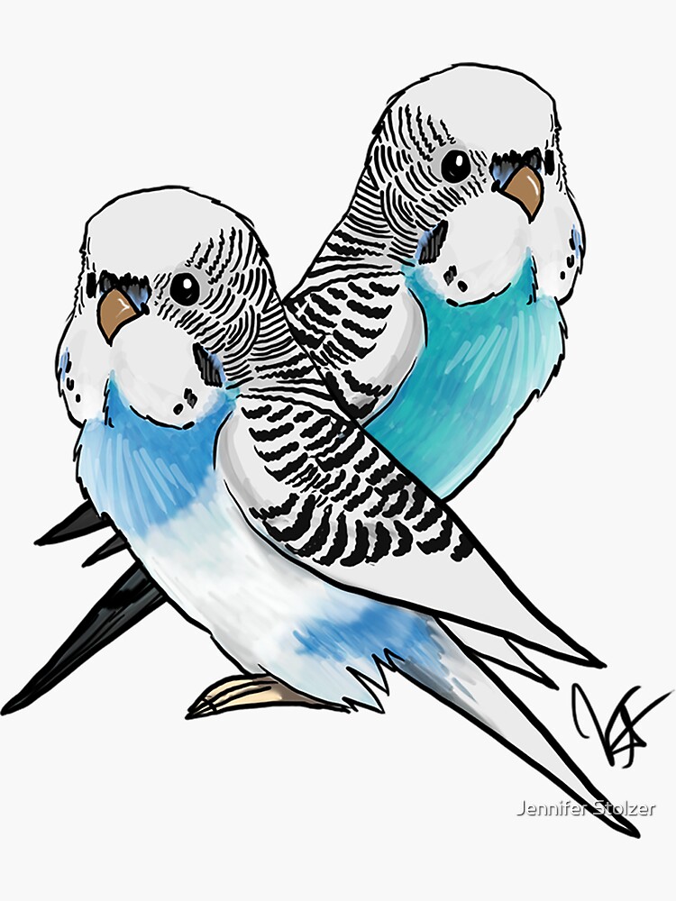 Two Budgies by jameson9101322