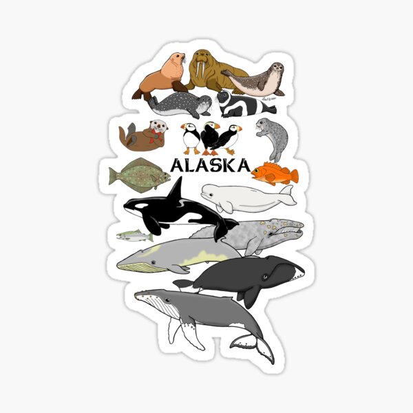 Item preview, Alaska's Marine Life designed and sold by sharkbait83.