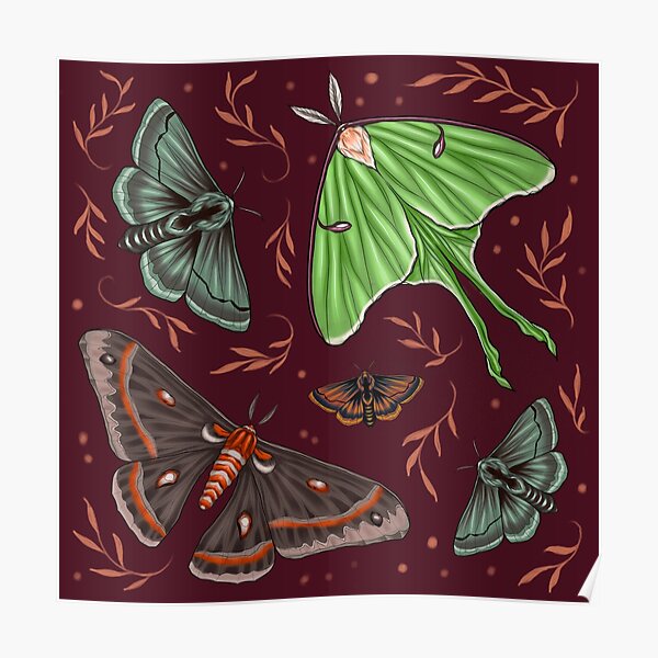 Fairytale Moths Poster