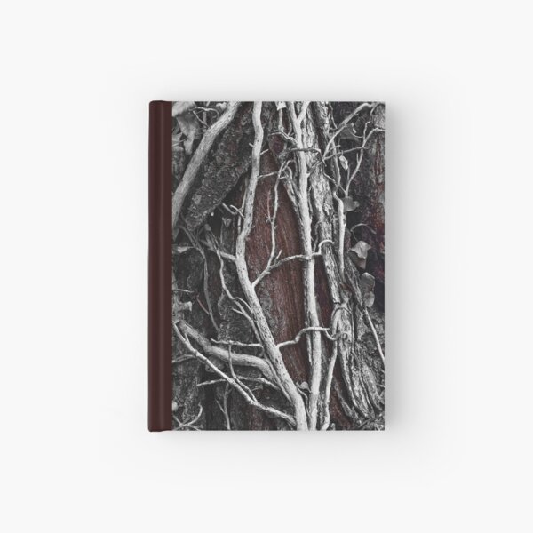 Climbing Hardcover Journal