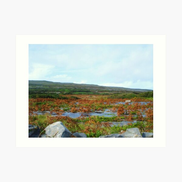 At Dun Aonghasa Art Print