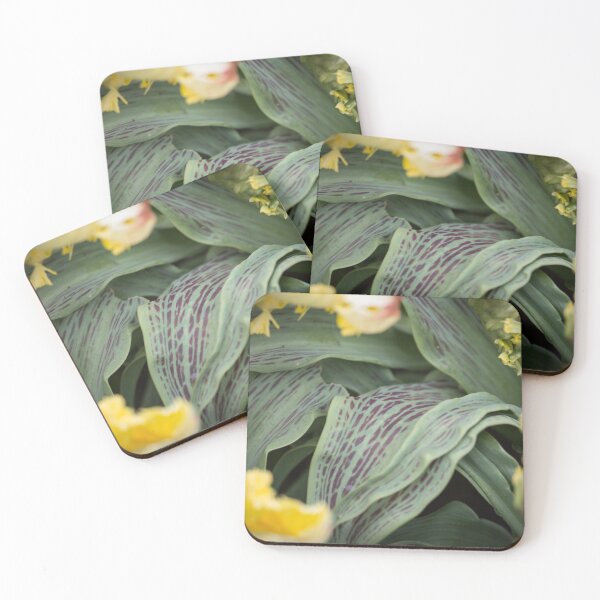 Item preview, Green and Yellow flower field designed and sold by Cvail73.