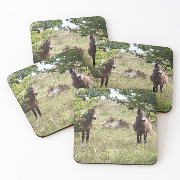 Aperçu de l'œuvre Poneys Exmoor créée et vendue par pinkal.