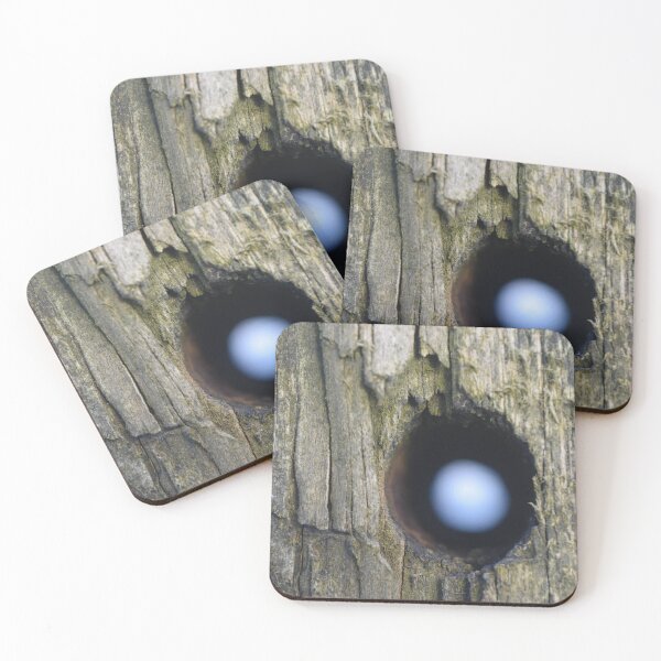 Item preview, Hole in the Wood designed and sold by Lauren  Russler.