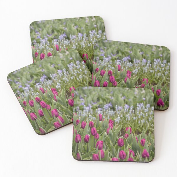 Item preview, Blue and red Tulip flower field designed and sold by Cvail73.