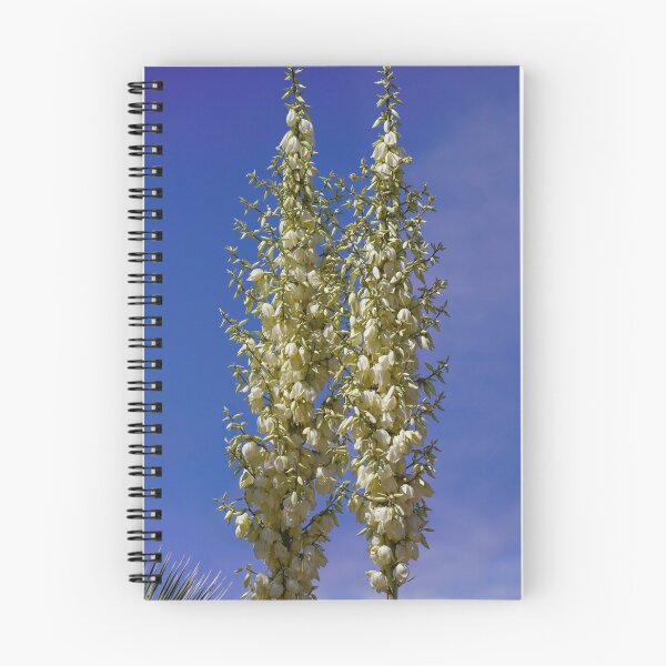 Item preview, Thompson's Yucca Flowers Stalks designed and sold by MomentofPercep.
