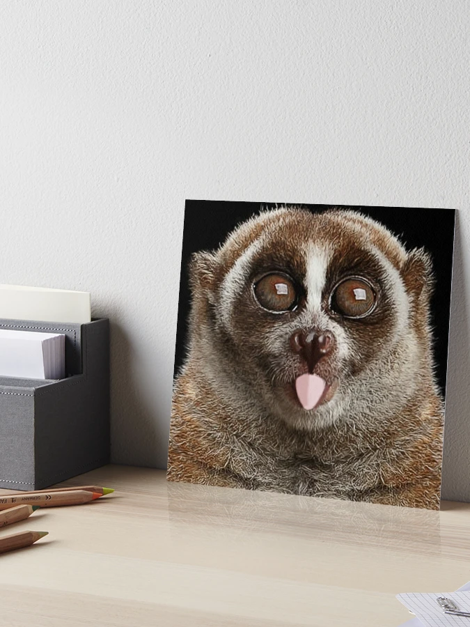 Slow Loris showing tongue Animals Gifts Art Board Print for Sale by  Dolphin Graphic