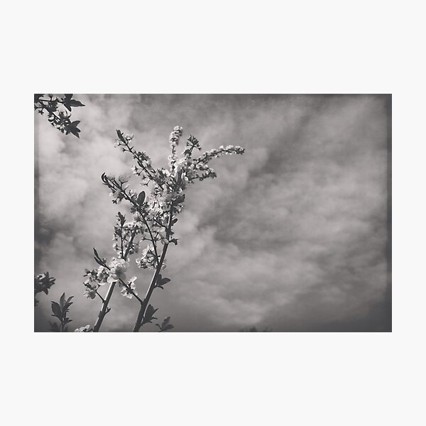 Item preview, The Sweetest Days I Found... I Found With You designed and sold by Laurie Search Fine Art Photography.