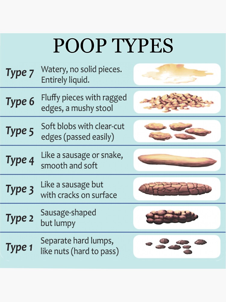 Types Of Poop And What They Mean