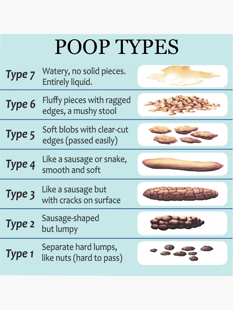 poop-types-sticker-for-sale-by-miatrackman-redbubble