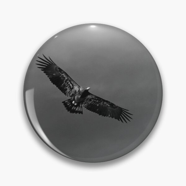 Item preview, Juvenile Bald Eagle I designed and sold by Debbie Oppermann.