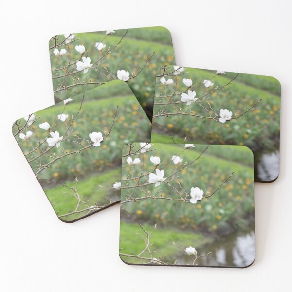 Item preview, Spring designed and sold by Cvail73.