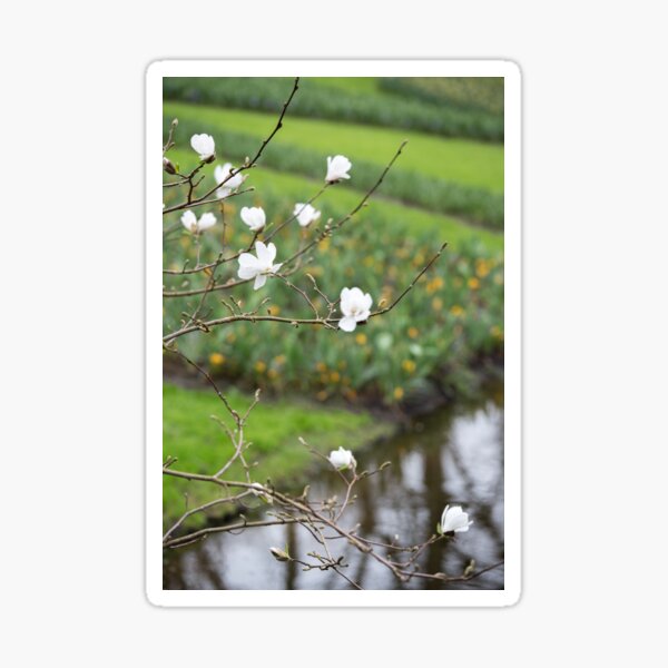 Spring Sticker