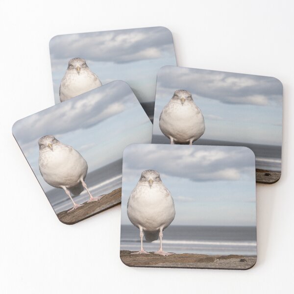 Item preview, The Seagull designed and sold by Cvail73.