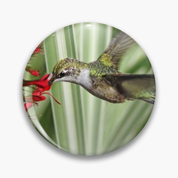 Item preview, Hummingbird and Lobelia designed and sold by Debbie Oppermann.