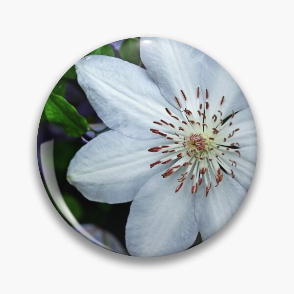 Item preview, White Clematis Surrounded By Purple Clematis designed and sold by Debbie Oppermann.